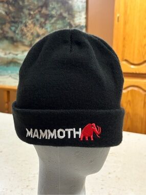 Mammoth Black Embroidered Cuff Beanie